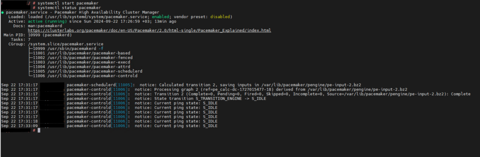 Cluster startup command output